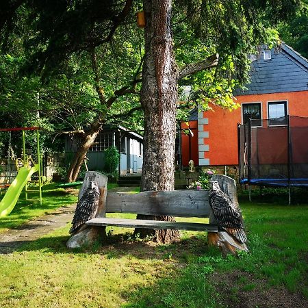 Ferienhaus Franz - An Der Elbe, Mit Grossem Garten بيرنا المظهر الخارجي الصورة