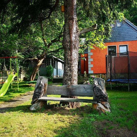 فيلا Ferienhaus Franz - An Der Elbe, Mit Grossem Garten بيرنا المظهر الخارجي الصورة