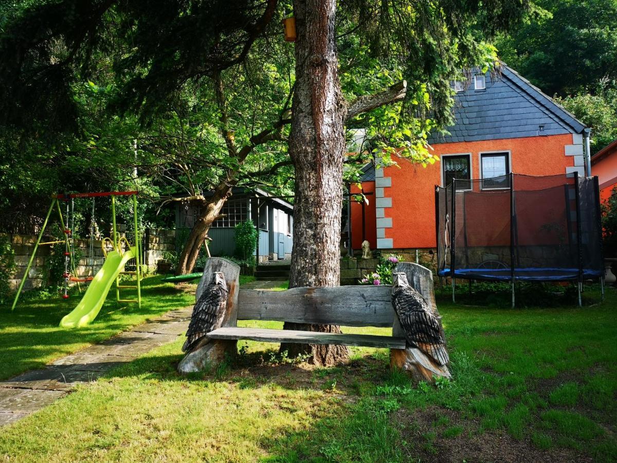 Ferienhaus Franz - An Der Elbe, Mit Grossem Garten بيرنا المظهر الخارجي الصورة
