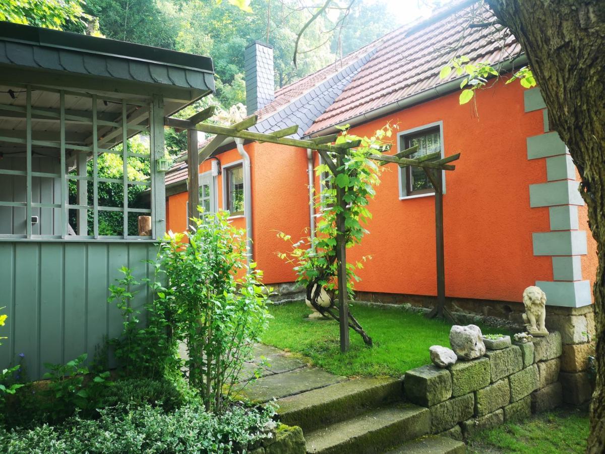 فيلا Ferienhaus Franz - An Der Elbe, Mit Grossem Garten بيرنا المظهر الخارجي الصورة